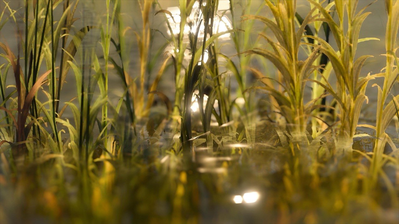 Studies on Breaking Immersion